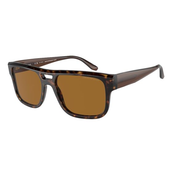 Emporio Armani EA 4197 587983 Güneş Gözlüğü, Resim 6