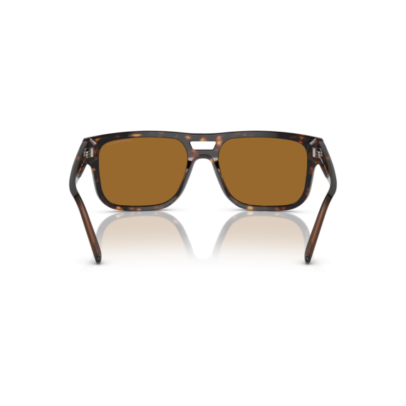 Emporio Armani EA 4197 587983 Güneş Gözlüğü, Resim 3
