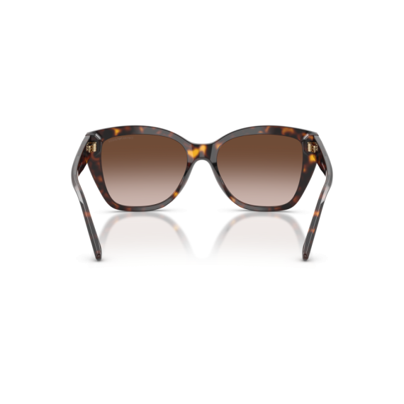 Emporio Armani EA 4198 502613 Güneş Gözlüğü, Resim 3