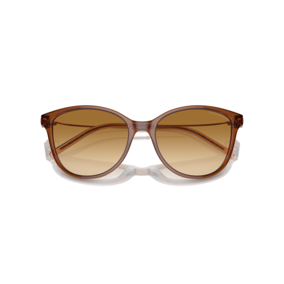 Emporio Armani EA 4220 61103B Güneş Gözlüğü, Resim 5