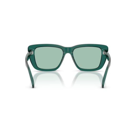 Emporio Armani EA 4246U 6252/2 Güneş Gözlüğü, Resim 3