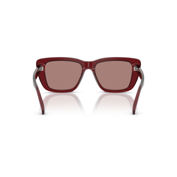 Emporio Armani EA 4246U 625473 Güneş Gözlüğü, Resim 3