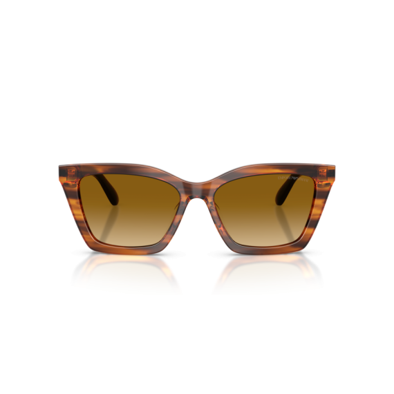 Emporio Armani EA 4250U 62682L Güneş Gözlüğü, Resim 4
