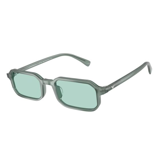 Emporio Armani EA 4253U 627065 Güneş Gözlüğü, Resim 6