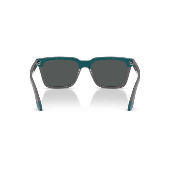 Emporio Armani EA 4260 631487 Güneş Gözlüğü, Resim 3