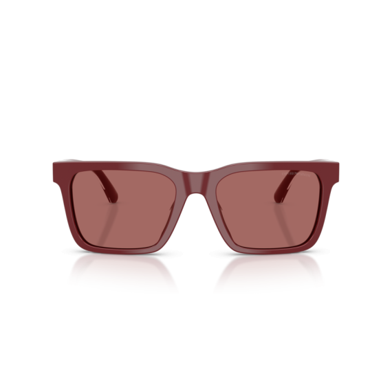 Emporio Armani EA 4262U 632269 Güneş Gözlüğü, Resim 4