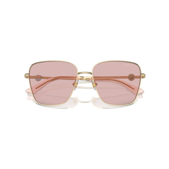 Jimmy Choo JC 4005HB 3006/5 Güneş Gözlüğü, Resim 5