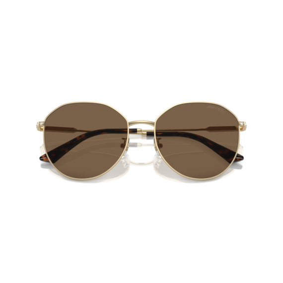 Jimmy Choo JC 4007BD 300673 Güneş Gözlüğü, Resim 5