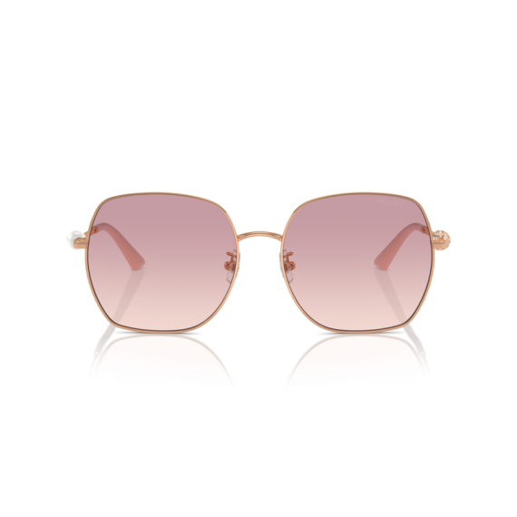 Jimmy Choo JC 4008HD 300868 Güneş Gözlüğü, Resim 4