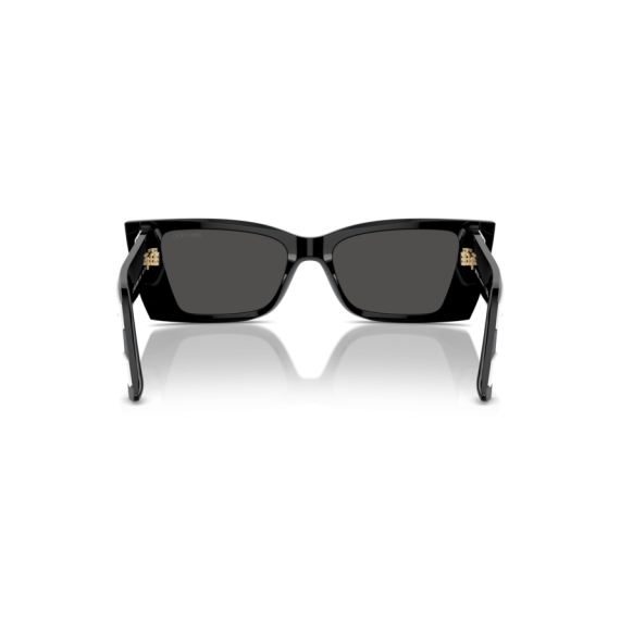 Jimmy Choo JC 5009 502987 Güneş Gözlüğü, Resim 3