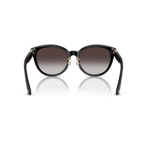 Jimmy Choo JC 5032D 500086 Güneş Gözlüğü, Resim 3