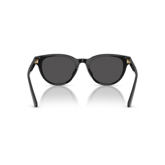 Jimmy Choo JC 5043D 500087 Güneş Gözlüğü, Resim 3