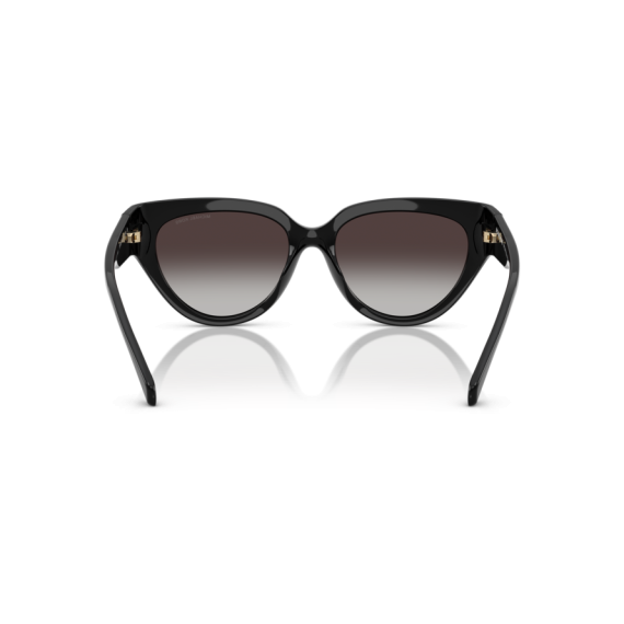 Michael Kors MK 2241U 30058G Güneş Gözlüğü, Resim 3