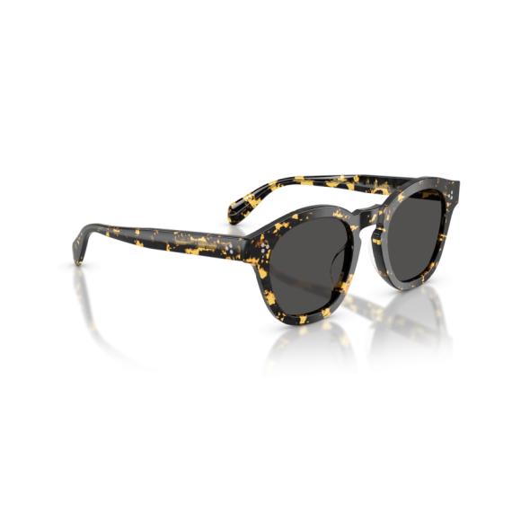 Oliver Peoples OV 5382SU 177887 Güneş Gözlüğü, Resim 4
