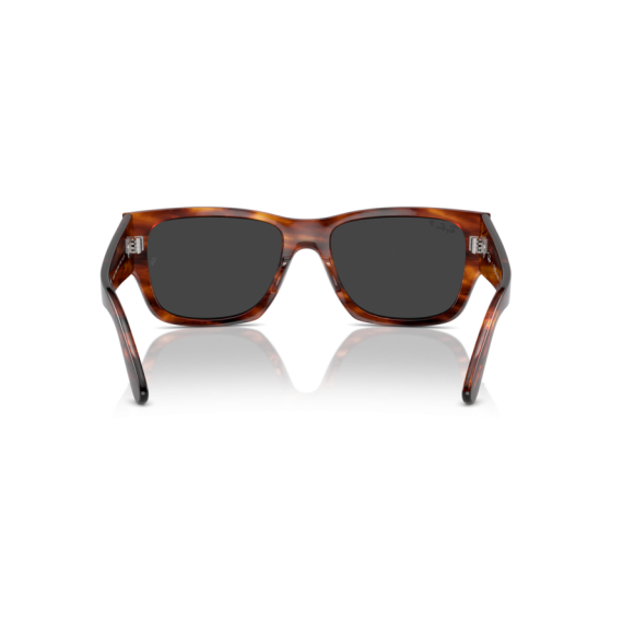 Ray-Ban RB 0947S 954/48 Güneş Gözlüğü, Resim 3
