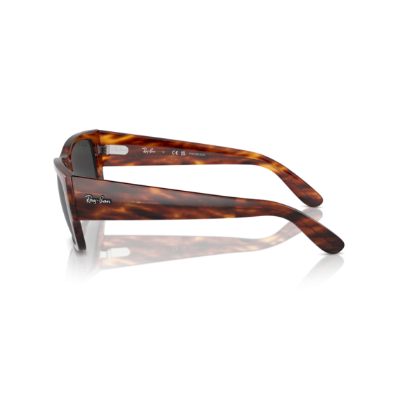 Ray-Ban RB 0947S 954/48 Güneş Gözlüğü, Resim 2