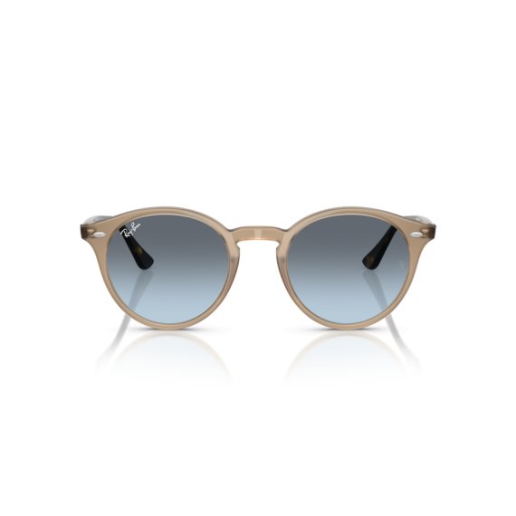 Ray-Ban RB 2180 6788V1 Güneş Gözlüğü, Cinsiyet: Unisex, Ekartman: 49, Resim 5