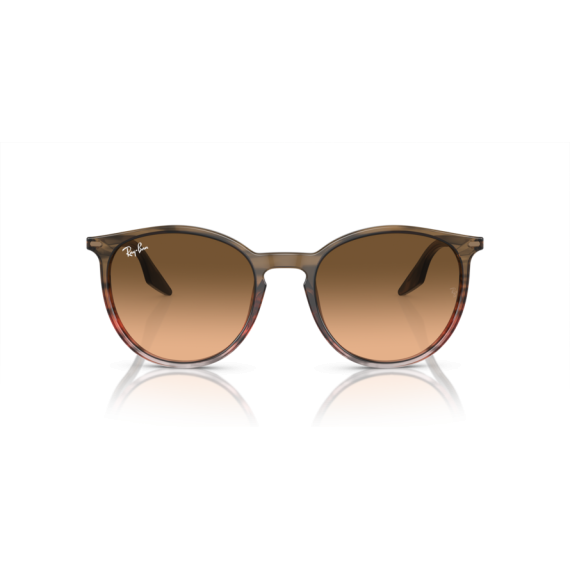 Ray-Ban RB 2204 13953B Güneş Gözlüğü, Cinsiyet: Unisex, Ekartman: 51, Resim 5