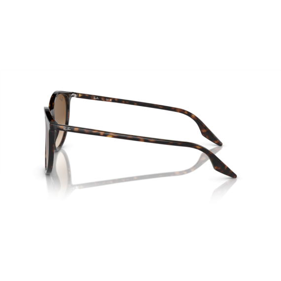 Ray-Ban RB 2204 902/51 Güneş Gözlüğü, Cinsiyet: Unisex, Ekartman: 54, Resim 2