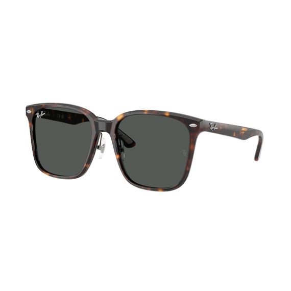 Ray-Ban RB 2206D 710/87 Güneş Gözlüğü, Resim 7