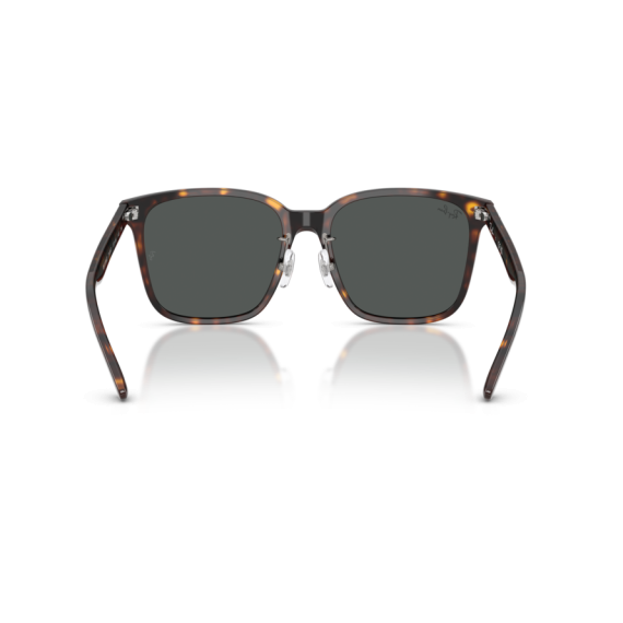 Ray-Ban RB 2206D 710/87 Güneş Gözlüğü, Resim 3