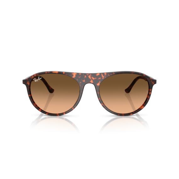 Ray-Ban RB 2215 14293B Güneş Gözlüğü, Cinsiyet: Unisex, Ekartman: 59, Resim 5