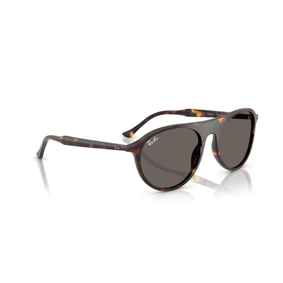 Ray-Ban RB 2215 902/B1 Güneş Gözlüğü, Cinsiyet: Unisex, Ekartman: 59, Resim 4