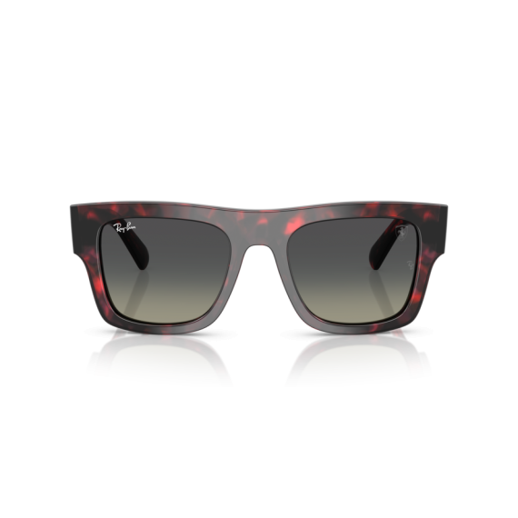 Ray-Ban RB 2217M F70511 Güneş Gözlüğü, Resim 5