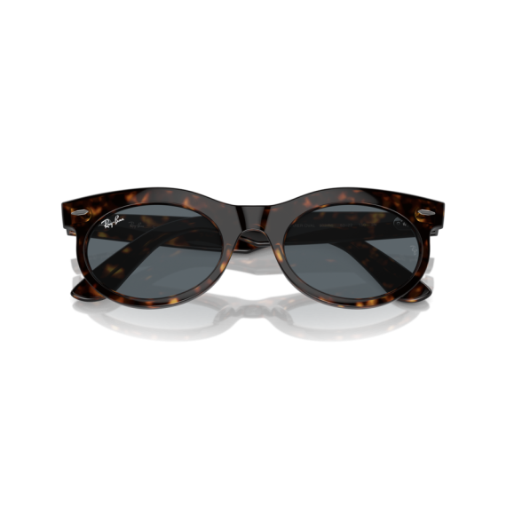 Ray-Ban RB 2242 902/R5 Güneş Gözlüğü, Resim 6