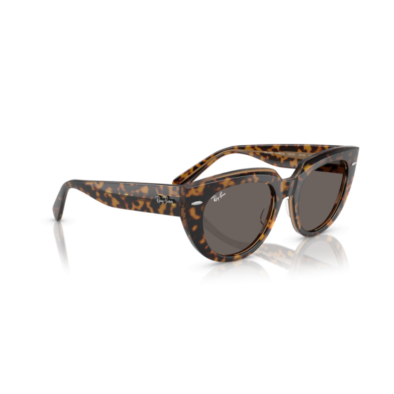 Ray-Ban RB 2286 1292B1 Güneş Gözlüğü, Cinsiyet: Kadın, Ekartman: 49, Resim 4