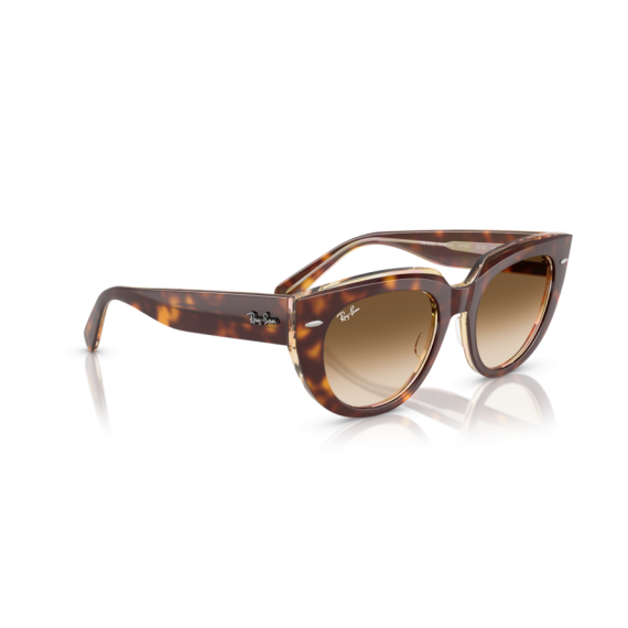 Ray-Ban RB 2286 141451 Güneş Gözlüğü, Cinsiyet: Kadın, Ekartman: 52, Resim 4