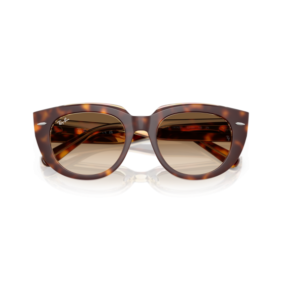 Ray-Ban RB 2286 141451 Güneş Gözlüğü, Cinsiyet: Kadın, Ekartman: 49, Resim 6
