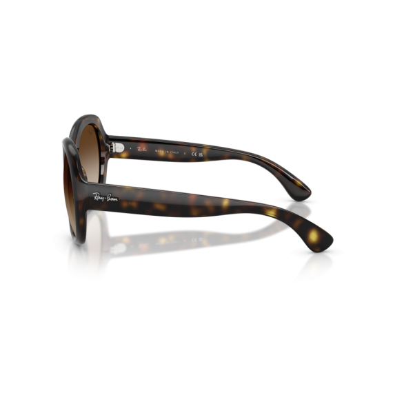Ray-Ban RB 4191 710/13 Güneş Gözlüğü, Resim 2