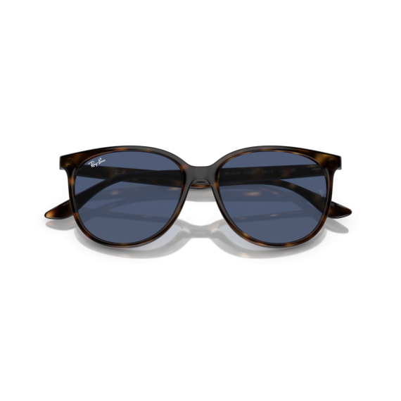 Ray-Ban RB 4378 710/80 Güneş Gözlüğü, Resim 6