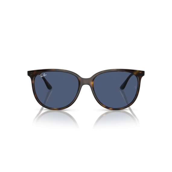 Ray-Ban RB 4378 710/80 Güneş Gözlüğü, Resim 5