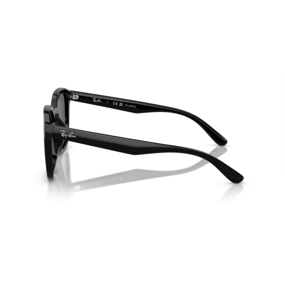 Ray-Ban RB 4392D 601/81 Güneş Gözlüğü, Resim 2