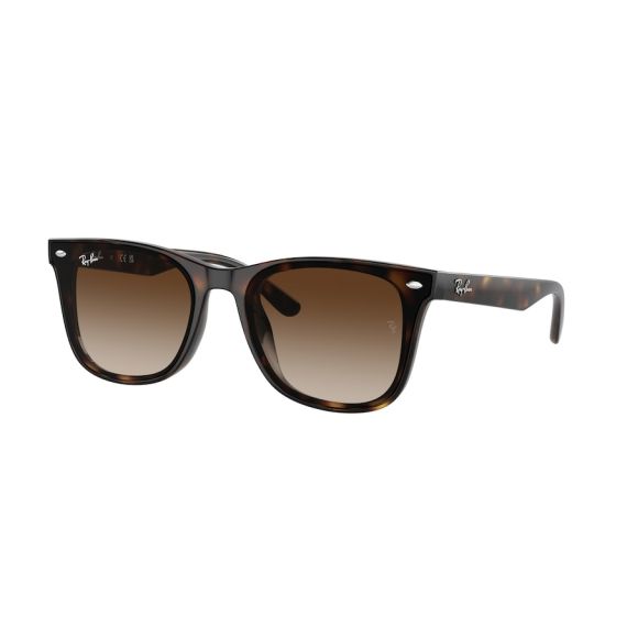Ray-Ban RB 4420 710/13 Güneş Gözlüğü, Resim 7