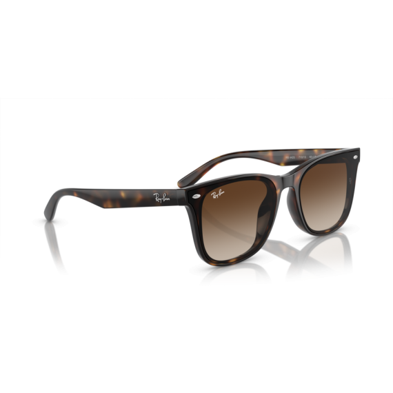 Ray-Ban RB 4420 710/13 Güneş Gözlüğü, Resim 4
