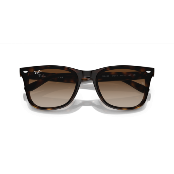 Ray-Ban RB 4420 710/13 Güneş Gözlüğü, Resim 6