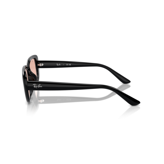 Ray-Ban RB 4421D 667784 Güneş Gözlüğü, Resim 2