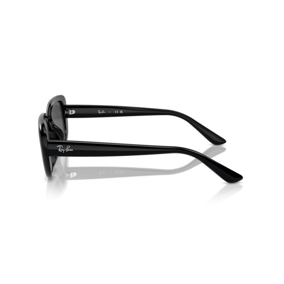 Ray-Ban RB 4421D 667787 Güneş Gözlüğü, Resim 2