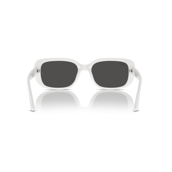 Ray-Ban RB 4421D 677287 Güneş Gözlüğü, Resim 3