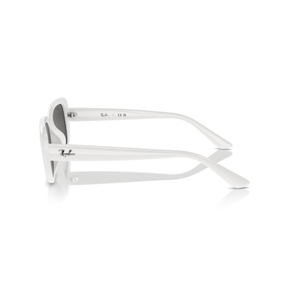 Ray-Ban RB 4421D 677287 Güneş Gözlüğü, Resim 2