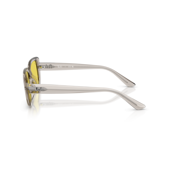 Ray-Ban RB 4421D 681885 Güneş Gözlüğü, Resim 2