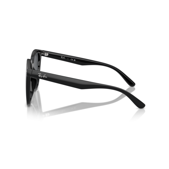 Ray-Ban RB 4423D 601/87 Güneş Gözlüğü, Resim 2
