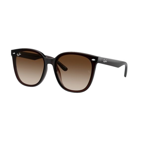 Ray-Ban RB 4423D 714/13 Güneş Gözlüğü, Resim 7