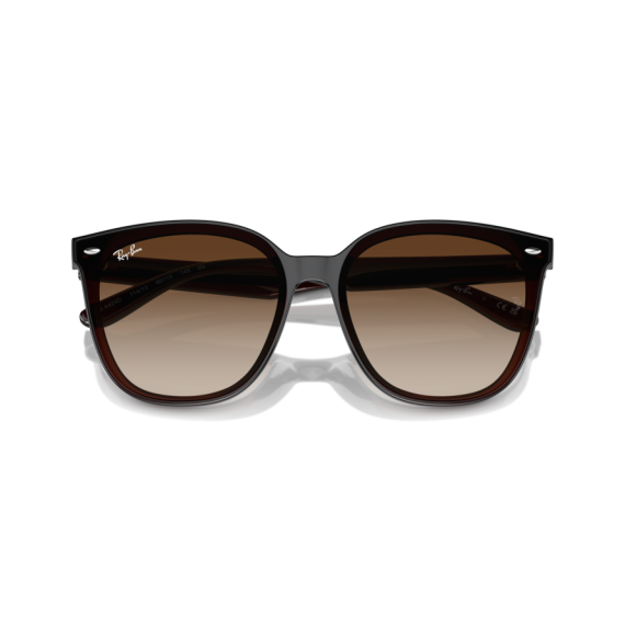 Ray-Ban RB 4423D 714/13 Güneş Gözlüğü, Resim 6