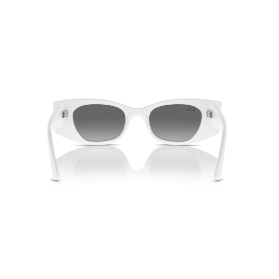 Ray-Ban RB 4427 675911 Güneş Gözlüğü, Resim 3
