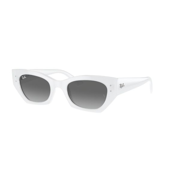 Ray-Ban RB 4430 675911 Güneş Gözlüğü, Resim 7