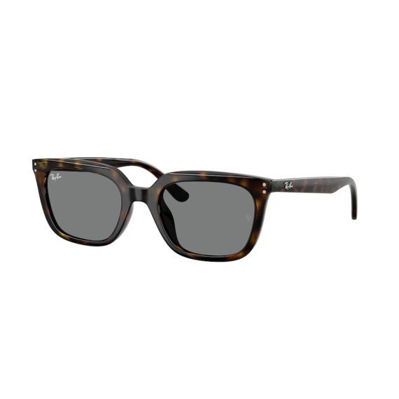 Ray-Ban RB 4439D 710/87 Güneş Gözlüğü, Resim 7